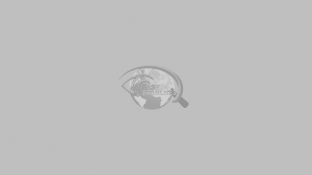 マインクラフト ウォルト ディズニー ワールド マジックキングダム アドベンチャー 公式トレーラー