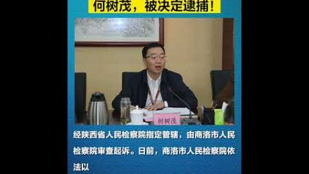 陕西职业技术学院原党委书记何树茂被决定逮捕