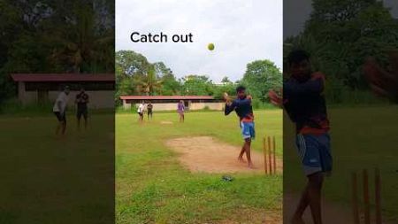 Cricket on the field Tennis ball match#youthtv99 #viral #trending #shorts