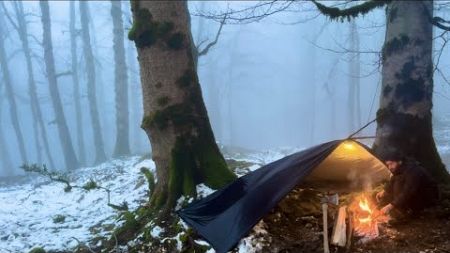 SOLO CAMPING in FOGGY WINTER | COZY SHELTER in RAIN &amp; SNOW | ASMR