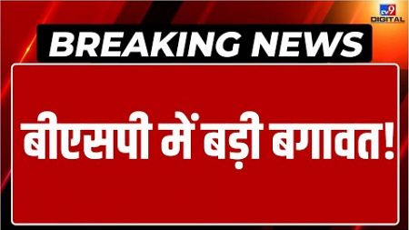 Breaking News LIVE: BSP में बड़ी बगावत! | Mayawati | UP Politics | Latest News