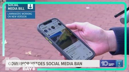 DeSantis vetoes bill banning social media for kids under 16