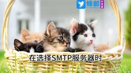 邮箱SMTP服务器怎么设置?邮箱smtp怎么设置?