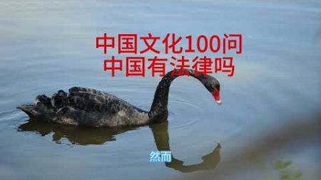 中国文化100问——13中国有法律吗