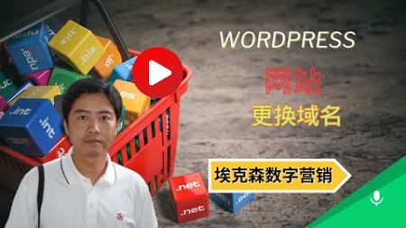 45.WordPress网站换域名-埃克森数字营销