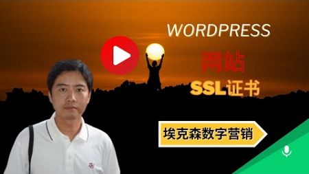38.WordPress网站ssl证书-埃克森数字营销