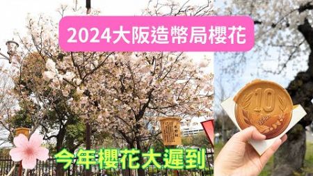 櫻花大遲到?!🔸2024大阪造幣局櫻花盛開狀況🔸還在流行的10圓麵包🔸cherry blossoms 🔸日本生活vlog 🔸Beautiful Sakura View in Osaka