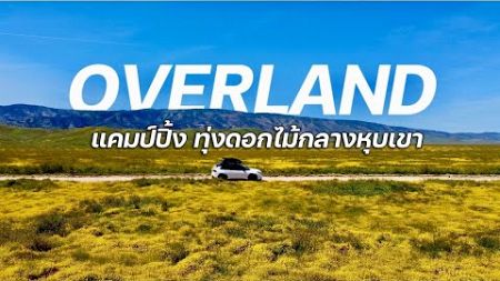 โอเวอร์แลนด์แคมป์ปิ้งชมทุ่งดอกไม้ป่ากลางหุบเขา | Overland Adventure Vlog