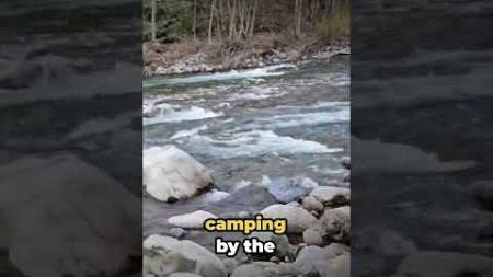 Hidden Camping Gem By The Chilliwack River