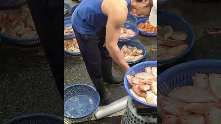 元源魚行 赤鱆拍賣 坎仔頂 基隆魚市場 seafood fishmarket auction