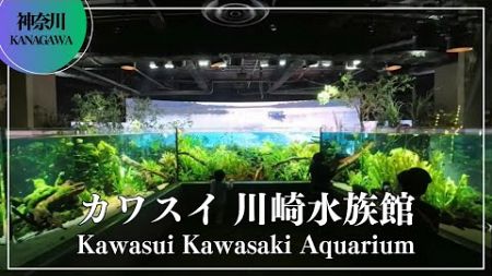 世界の美しい水辺を五感で感じる 新感覚エンターテインメント水族館 カワスイ 川崎水族館 Kawasui Kawasaki Aquarium 神奈川 japantravel