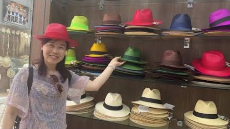 Fashion Panama Hats时尚的巴拿马帽子