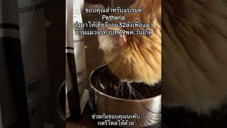 #เฮียจีวอน ล่าสุดอาหารแมวแบรนด์​ Petheria​ ส่งของมาให้เฮีย32ลังเพื่อส่งต่อแมวจรทั่วประเทศ 19 พ.ค.นี้