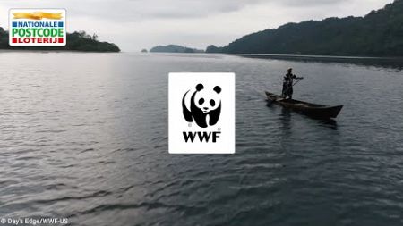 WWF | Postcode Loterij