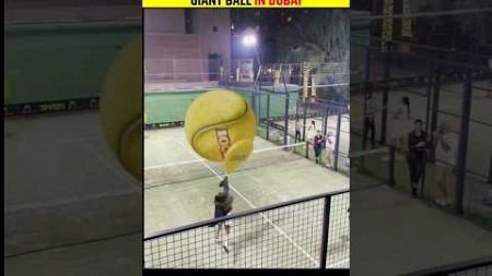 सबसे बड़ा टेनिस BALL | Giant tennis ball #shorts