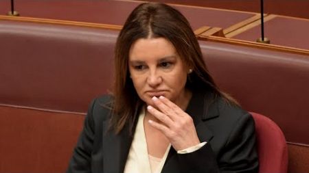 &#39;Politicians need to be better informed&#39;: Jacqui Lambie under fire for X comments