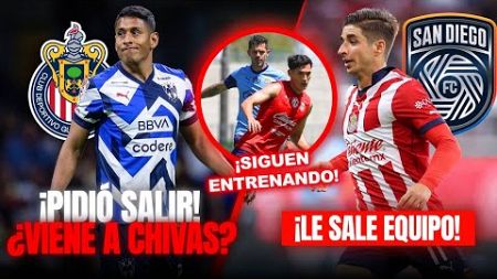 🚨LUIS ROMO A CHIVAS? PIDE SALIR DE MONTERREY! | LE SALE EQUIPO A CONE BRIZUELA | NOTICIAS CHIVAS