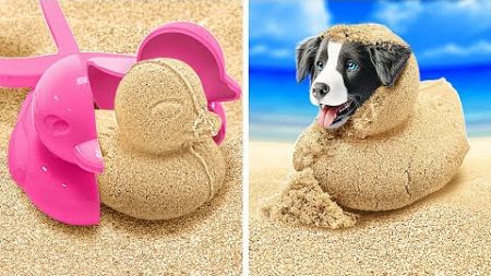 ビーチで子犬を見つけました🐶😍 ペットオーナーのための賢いアドバイス