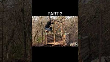 Building a warm environment shelter. subscribe for more. #forest #shelter #bushcraft #camping