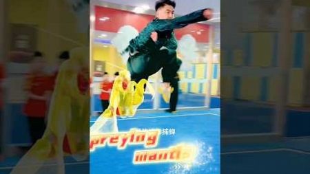 Authentic Preying Mantis fist training. #kungfu #martialarts #wushu #fitness #sports