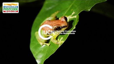 IUCN NL | Postcode Loterij