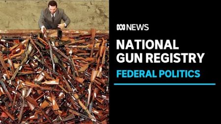 Federal government commits millions to a national guns register | ABC News