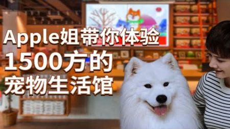 深圳1500方的宠物生活馆，apple姐带你体验