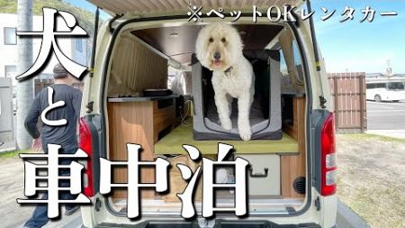 【大型犬と車中泊】ハイエースキャンピングカーで岐阜に行ってきました！