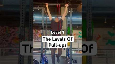 Becoming The GOD OF PULL-UPS (Levels 1-10)