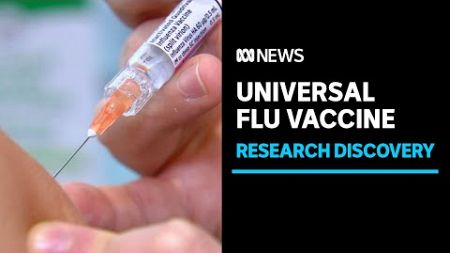 Universal flu vaccine could be a step closer | ABC News