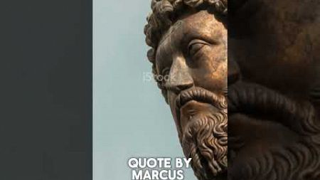 Quality of your Thoughts #stoicism #selfimprovement
