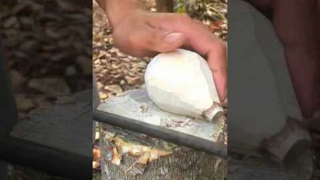 Woahhhh! create a toy out of a log? #challenge #survival #bushcraft #camping