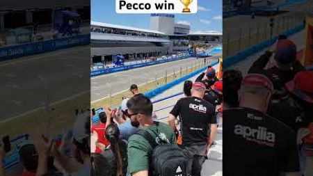 MotoGP Jerez ‼️ pecco win 🏆#motogp2024 #gresiniracing