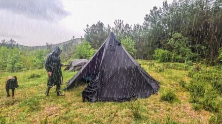 Camping in Rain - Caught in Heavy Rain with my Dog, Thunder, Cooking in Tent, Forest