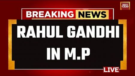 Rahul Gandhi LIVE: Rahul Gandhi&#39;s Mega Address In Madhya Pradesh | Rahul Gandhi Speech LIVE