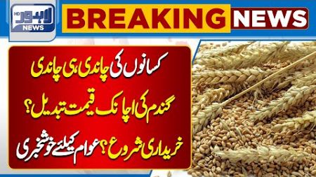 Big News Regarding Sale And Purchase Of Wheat | Government Announcement | Lahore News HD