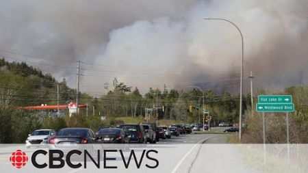 Halifax launches pilot project to help detect wildfires using AI