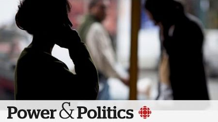 Liberal government tables bill aimed at curbing foreign meddling | Power &amp; Politics