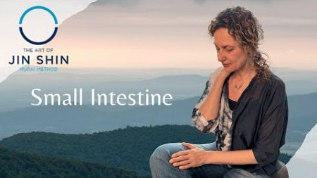 Wellness Wednesday 🌱 Small Intestine
