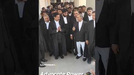Police se Jayda Vakil ko Ladna Patha hai 🔥 Law Power 🔥 #law #lawyer #shorts #viral #llb #advocate