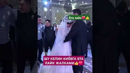 КЕЛИН КИЁВ ЖОРАЛАРИН ОРАСИНДА #2024 #свадьба