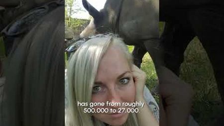 Adorable Rhino Comes And Sits Next to Woman