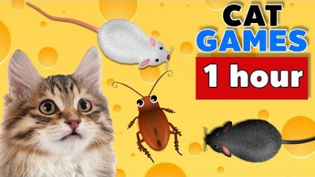 เกมส์แมว 1 ชั่วโมง จับหนู แมลงสาบ บนหน้าจอ สำหรับแมวให้แมวเล่น