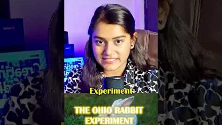 THE OHIO RABBIT EXPERIMENT: HOW PHYSICAL CARE SHAPES EMOTIONAL WELL-BEING! #facts #science #ytshorts