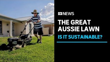 Is the &#39;great Australian lawn&#39; at risk of extinction? | ABC News