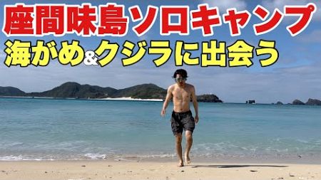 【ソロキャンプ】クジラと海ガメが目の前に！沖縄座間味島