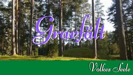 Das Gräberfeld in Dädesjö - eine Reise zu den Vorfahren