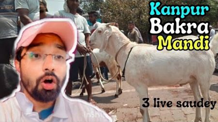 Kanpur bakra mandi updated rates. Social media marketing of goats.
