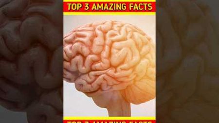 top 3 amazing bren hindi psychology facts #shorts #shortsfeed #facts #amazingfacts
