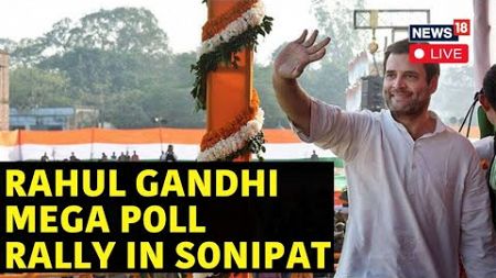 Rahul Gandhi Live Roadshow In Sonipat, Haryana | Rahul Gandhi Campaigns For Lok Sabha Polls | N18L